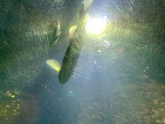 -北国之春国宴(乌兰察布店)