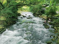 -广州市石门国家森林公园