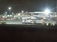 -约翰·菲茨杰拉德·肯尼迪国际机场