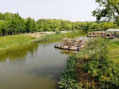 -上海长兴岛郊野公园