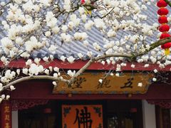 -杭州上天竺法喜讲寺