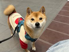 -联合动物医院(光谷诊疗中心)