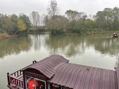 -溱湖国家湿地公园