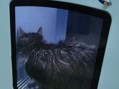 -安安宠物医院(情缘分院)