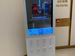 -DFS迪斐世(香港广东道店)