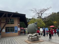 -广东惠东海龟国家级自然保护区