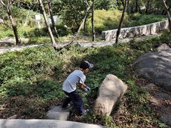 -大岭沟猕猴桃谷风景区