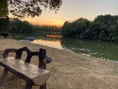 -艾溪湖湿地公园