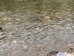 -白河湾生态旅游一条川