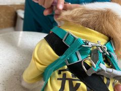-美联众合动物医院·24h京西诊疗中心