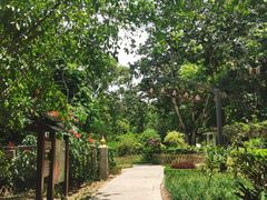 -中国科学院西双版纳热带植物园
