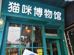 -猫咪博物馆(顶澳仔猫街店)