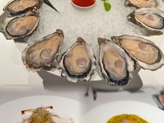 -Oyster Talks 四度蚝法餐厅