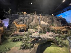 -陕西自然博物馆