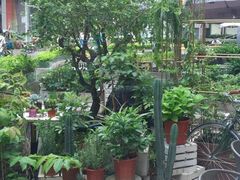 -农畉LONFOOD(福田星河COCOPark店)