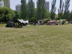 -泰丰公园