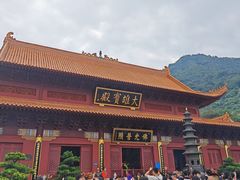 -深圳仙湖植物园