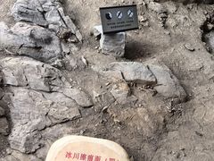 -中国第四纪冰川遗迹陈列馆
