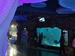 -烟台海昌鲸鲨海洋公园