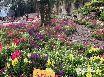 渝中区七星岗山城步道上的仁爱堂，以前是废弃的百年教堂