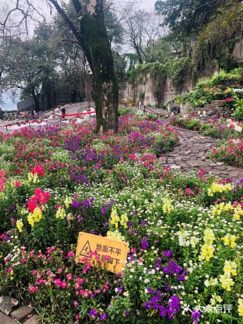 渝中区七星岗山城步道上的仁爱堂，以前是废弃的百年教堂