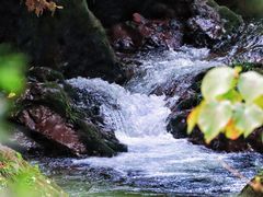-龙苍沟森林公园
