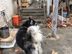 -太原小区