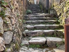 -杨家堂村