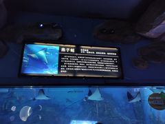 -烟台海昌鲸鲨海洋公园