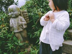 -武陵山森林公园