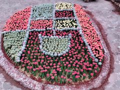 -南通洲际绿博园