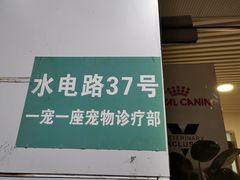 -守诺宠物医院·眼科· 特色牙科·异宠专科(虹口店)