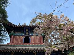 -洛阳白马寺