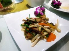 花生苗螺片-周锦记广式餐厅