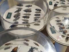 -陕西自然博物馆