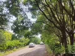 -胜华驾校·小猫学车(银都店)