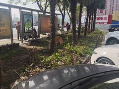 -海门爱心宠物医院