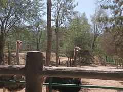 -青藏高原野生动物园