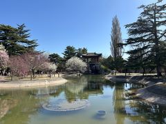 -国家植物园南园