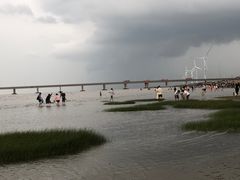 -南汇新城海滩