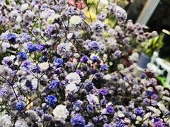 -卓花境Flowerwonderland花店