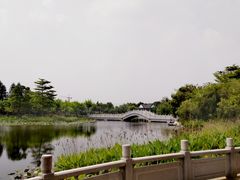 -映月湖公园