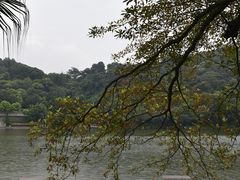 -西樵山风景名胜区-天湖公园