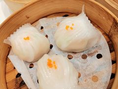 -粤珍轩(新城广场店)