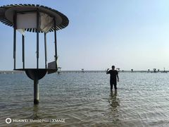 -碧海金沙