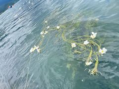 -丽江泸沽湖景区