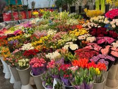 -双季花艺园艺市场(浦东店)