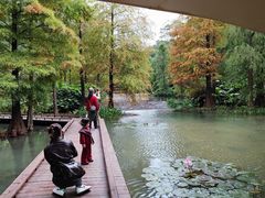 -云溪植物园