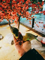 -酷嗒动物文化乐园(cutezoo西溪乐天城店)