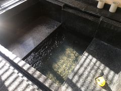 -春晖园度假酒店温泉